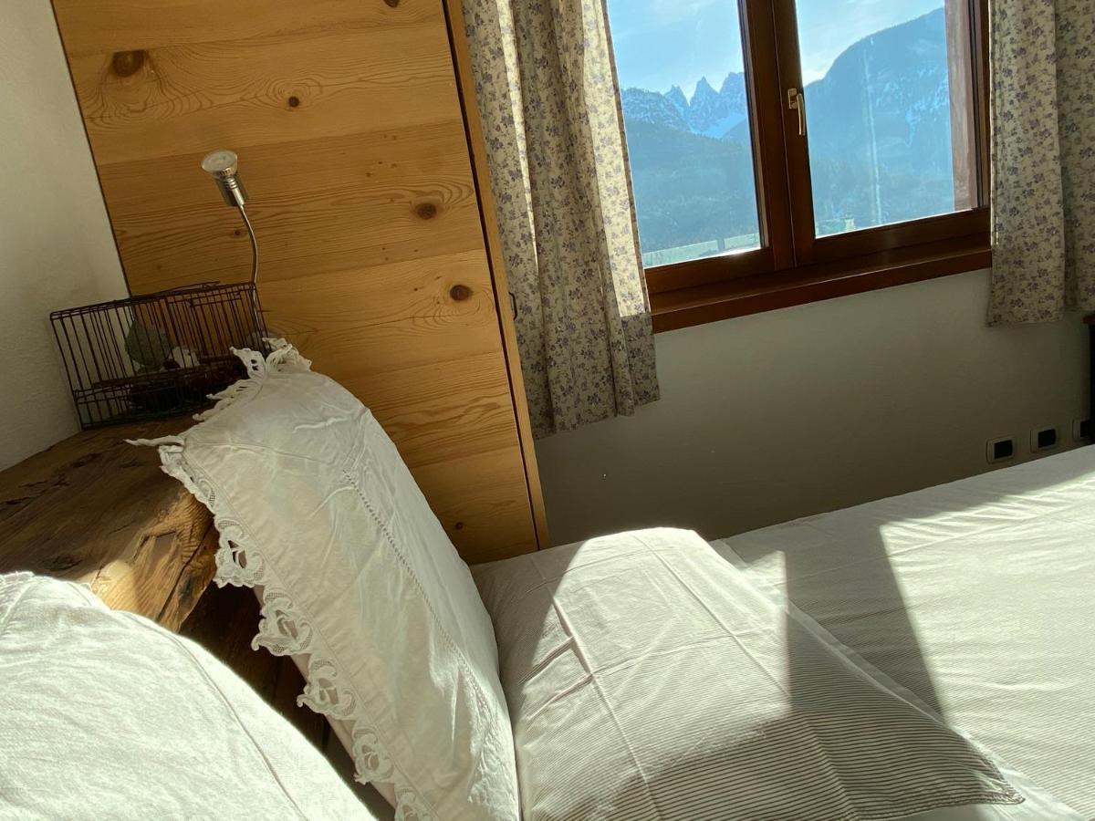 Fra Rose E Mughi Bed & Breakfast Domegge di Cadore Bagian luar foto