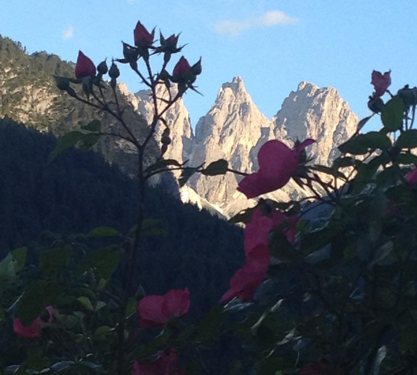 Fra Rose E Mughi Bed & Breakfast Domegge di Cadore Bagian luar foto