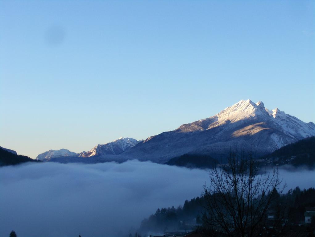 Fra Rose E Mughi Bed & Breakfast Domegge di Cadore Bagian luar foto