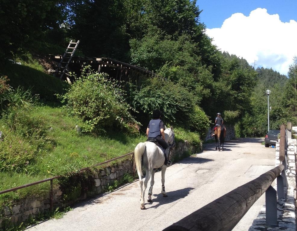 Fra Rose E Mughi Bed & Breakfast Domegge di Cadore Bagian luar foto