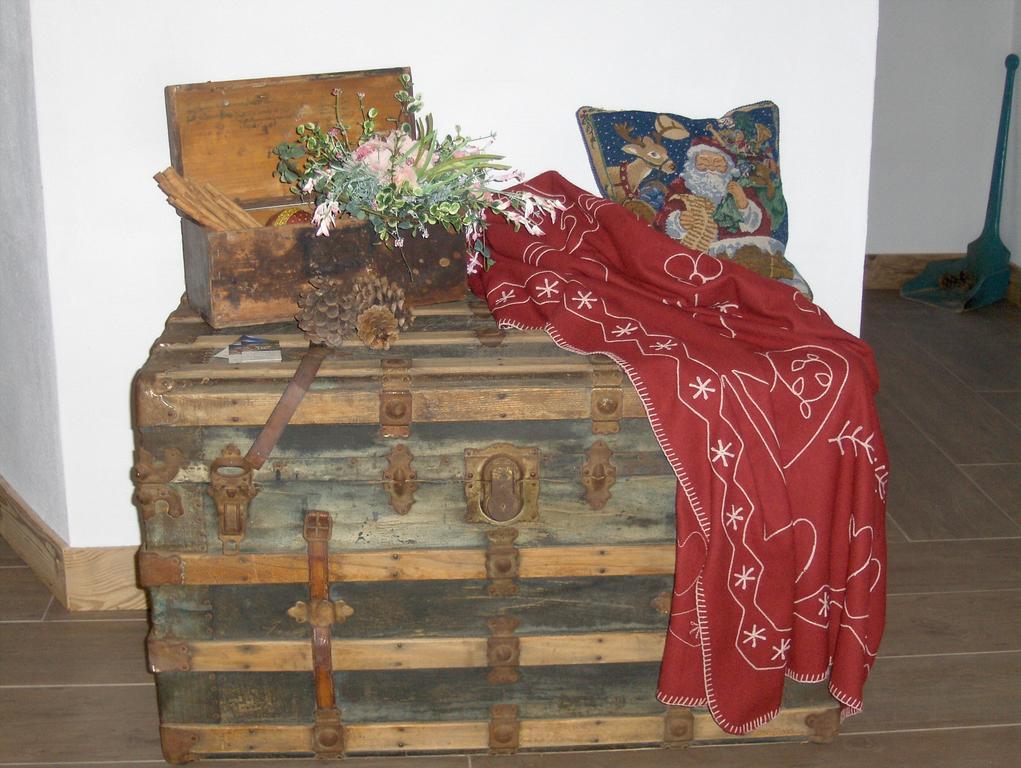 Fra Rose E Mughi Bed & Breakfast Domegge di Cadore Bagian luar foto